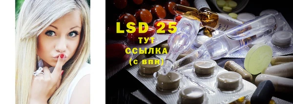 ПСИЛОЦИБИНОВЫЕ ГРИБЫ Пестово