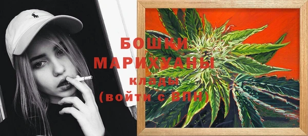 ПСИЛОЦИБИНОВЫЕ ГРИБЫ Пестово