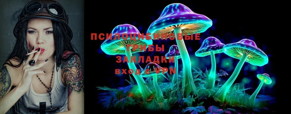 ПСИЛОЦИБИНОВЫЕ ГРИБЫ Пестово