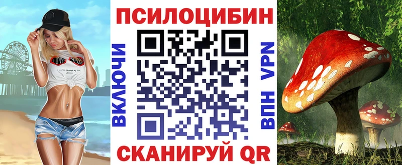 закладки  Ленинск  блэк спрут онион  Псилоцибиновые грибы прущие грибы 