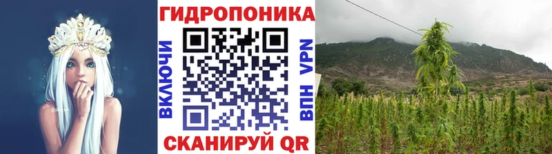 Бошки Шишки LSD WEED MEGA зеркало Ленинск