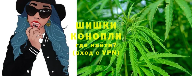 где купить   Ленинск  Бошки марихуана OG Kush 